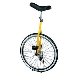 Einrad HaDiBe Standard 24"