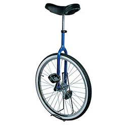 Einrad HaDiBe DeLuxe 24"