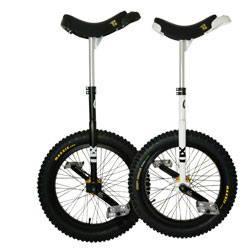 Einrad QX-series Muni 20" [lucent]